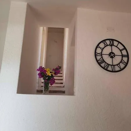 Villa Mamia Pool Costa Paradiso