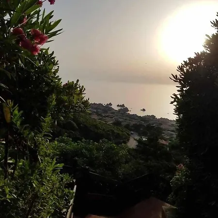 Villa Mamia Pool
